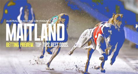Greyhounds Betting Odds June 2024 .